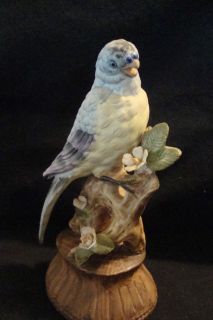 Beautiful vtg Blue Parakeet Music Box Figurine