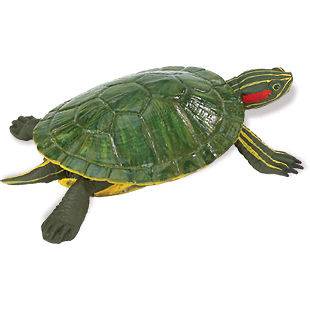 Safari LTD #269529 Red Earred Slider Turtle  Same Day * FREE SHIPPING