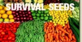 EMERGENCY FOOD SURVIVAL SEED 53 VARIETY 36,000 ORGANIC FOR DOOMSDAY 