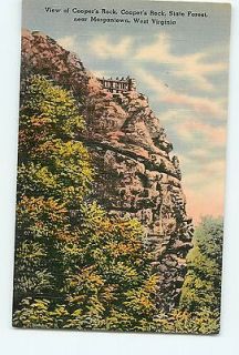 Vintage Postcards View of Coopers Rock State Forest near Morgantown 
