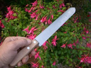 Beekeepers uncapping knife ( straight edge )