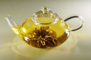 Suns Tea ultra clear 21 oz glass Teapot & Infuser,