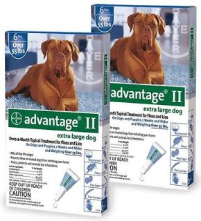 advantage for dogs over 55 in Flea & Tick Remedies