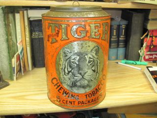 TIGER CHEWING 5 cents TOBACCO TIN CAN VINTAGE SMOKING STORE COUNTER 