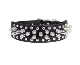   Leather Dod Collar Spiked Studded 11 14 neck size for Small Dogs