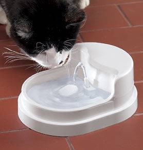 Pet Supplies  Cat Supplies  Water Fountains