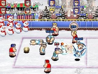 Super Dodgeball Brawlers Nintendo DS, 2008