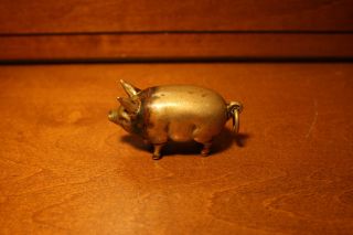   Brass Pig or Hog or Boar Match Holder Safe Vesta Box Watch Fob 1880,s
