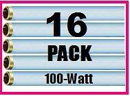 16 Pack Tanning Bed HOT Bronzer Lamps / Bulbs (F73)