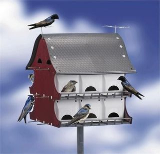 purple martin bird house in Birdhouses