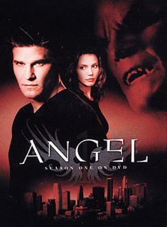Angel {Featuring David Boreanaz}   Season 1 (DVD, 2003, 6 Disc Set)