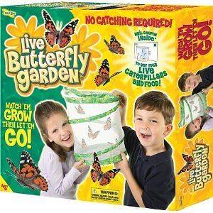 Insect Live Butterfly Garden Habitat Furniture Cage Bug Nature Pet Toy 