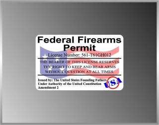 Federal Firearm Permit Pistol Handgun 9mm Pro Gun Decal Bumper Sticker 