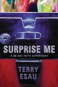  Me A 30 Day Faith Experiment by Terry Esau 2005, Paperback