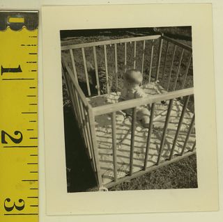 VINTAGE 50s PHOTO Toddler BABY In PLAYPEN Play Pen & Cat Outdoors