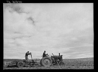 Tractor drawn potato digger at work on a farm near Caribou,Maine