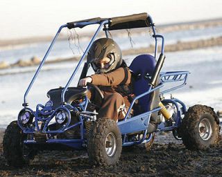 kids go carts in Go Karts (Recreational)