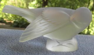 LALIQUE Crystal Sparrow Coquet Bird Head Under Wing Figurine France 