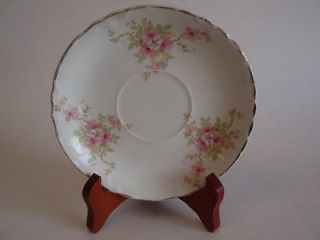 Vintage W S George Radisson China Teacup Plate Saucer Pink Cottage 