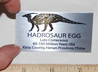 Hadrosaur Dinosaur Egg LABEL Fossil