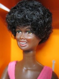 Skye Dusty Fashion Action Barbie Size Black Doll Vintage Afro Hair 