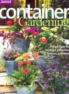Container Gardening Design Ideas for Rooftops, Balconies, Terraces 
