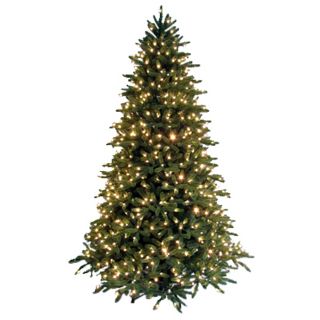 Shop GE 7.5 ft Fir Pre lit Artificial Christmas Tree with 800 Count 