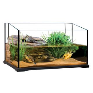 Home Reptile Habitats Exo Terra Glass Turtle Terrarium
