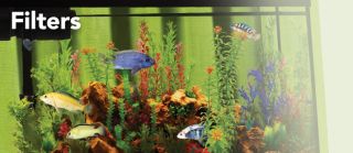 Fish Supplies Aquarium & Fish Tank Accessories  