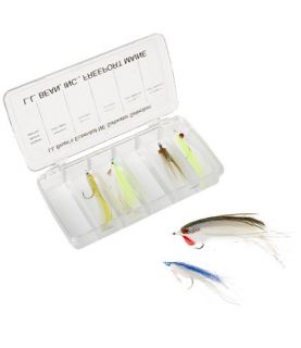 Essential Fly Selection, Northeast Saltwater: Fly Collections  Free 