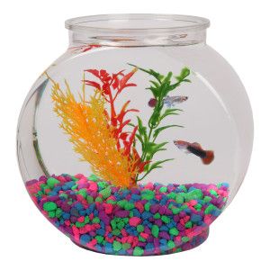Fish Bowl » Top Fin® 1/2 Gallon Plastic Fish Bowl  