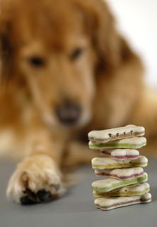 Similar to your pets daily meals, the best treats to feed your pet 