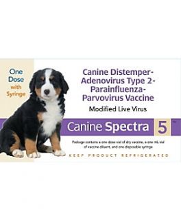 Durvet® Canine Spectra 5™, Single Dose with Syringe   2451312 