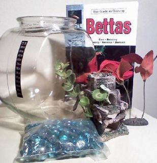 Fish Bowl LOT 1 Gallon BETA owners guide thermometer stones decor and 