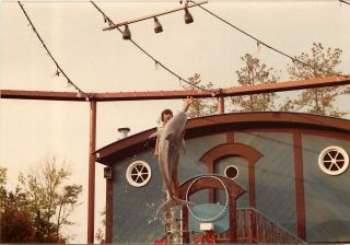 1977 Snapshot Photograph Kings Dominion Amusement Park Porpoise Show 