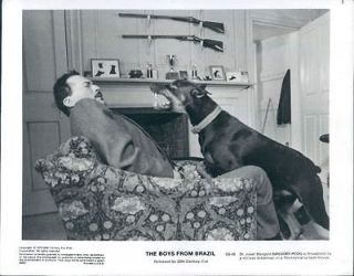 1978 Actor Gregory Peck With Doberman in Movie The Boys From Brazil 