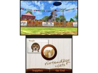 NINTENDO NINTENDOGS + CATS BULLDOG FRANCESE AND FRIENDS   Giochi 3DS 