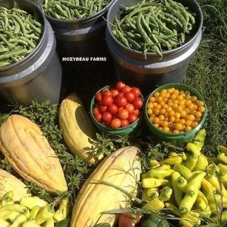Million+ SURVIVAL VEGETABLE SEED CACHE Premium Non GMO Seeds 
