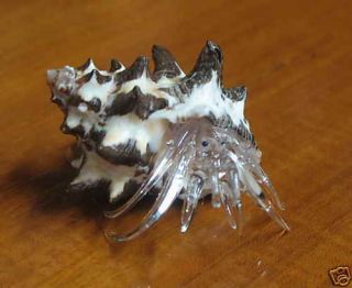 Hermit crab Miniature Glass Animal Figurine REAL Shell