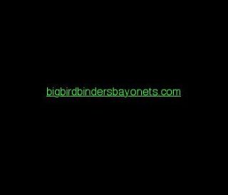 bigbirdbinders bayonets com domain name for sale 
