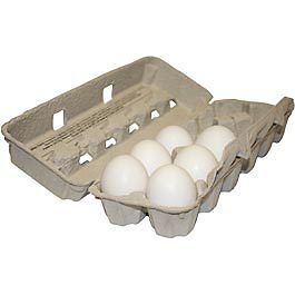   NEW Egg Cartons Poultry Livestock Supplies JEFFERS LIVESTOCK HAFE1