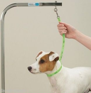 GREEN GROOMER RESTRAINT NOOSE LOOP for Pet DOG Cat Bath Grooming 
