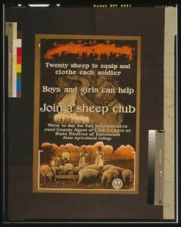Join a sheep club Twenty sheep to equip,clothe each soldier,1918,p 