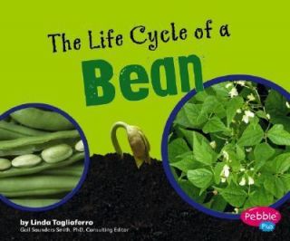 The Life Cycle of a Bean by Linda Tagliaferro 2007, Reinforced