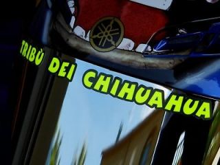 helmet decal tribu dei chihuahua valentino rossi from italy time