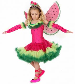 PRINCESS PARADISE WATERMELON FAIRY AS SEEN IN CHASING FIREFLIES  XS, S 