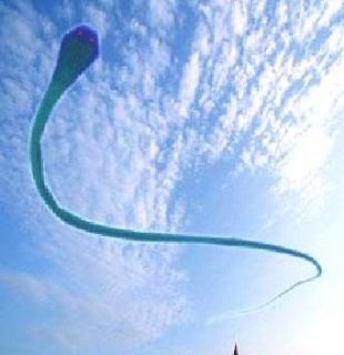 huge snake parafoil soft kite 35 meters camouflage from china