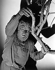actor lon chaney jr as the wolfman 8 x 10