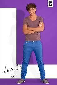 ONE DIRECTION LOUIS 91.5 X 61CM POSTER NEW OFFICIAL MERCHANDISE