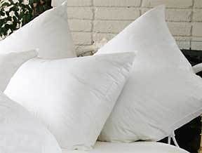Pacific Coast ® Touch of Down ® Queen Pillow in Mirage ® Hotel and 